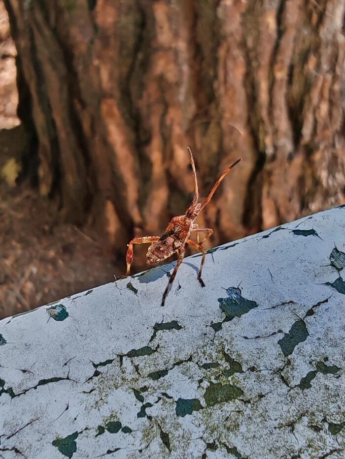 Nature’s Cutest Photobombs That’ll Totally Brighten Your Day