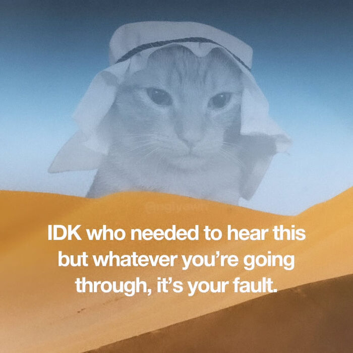 These Cat Memes Will Totally Crack You Up (And Maybe Teach You Stuff?)