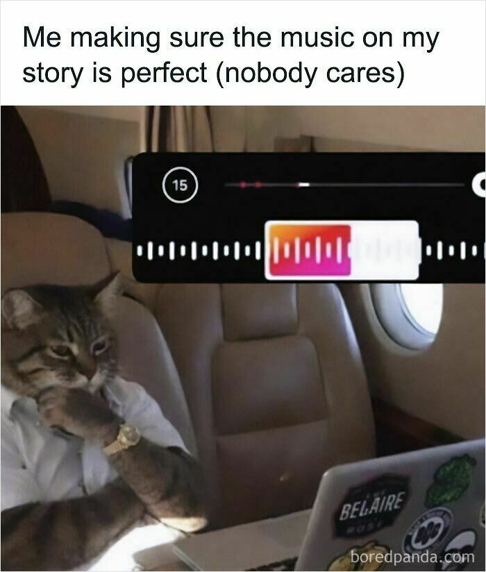 These Cat Memes Will Totally Crack You Up (And Maybe Teach You Stuff?)