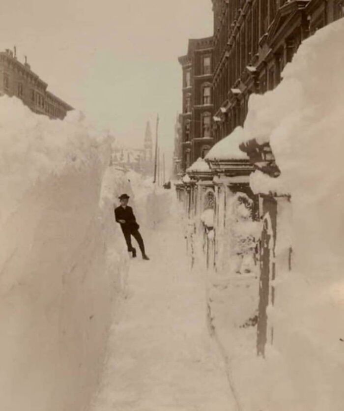The Blizzard Of 1888 Left Madison Ave Looking Like A Winter Wonderland—Or Nightmare, Depends On You