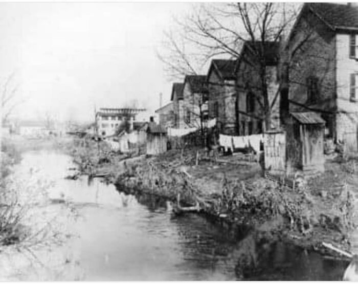 Bronx River Looking Pretty Chill In 1902