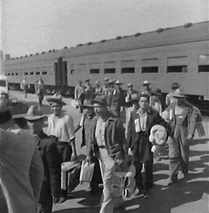 1954’s Mass Deportation: 'Operación Espalda Mojada'—A Harsh Reality
