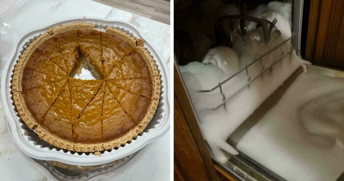33 Mildly Annoying Things That Somehow Got Caught On Camera