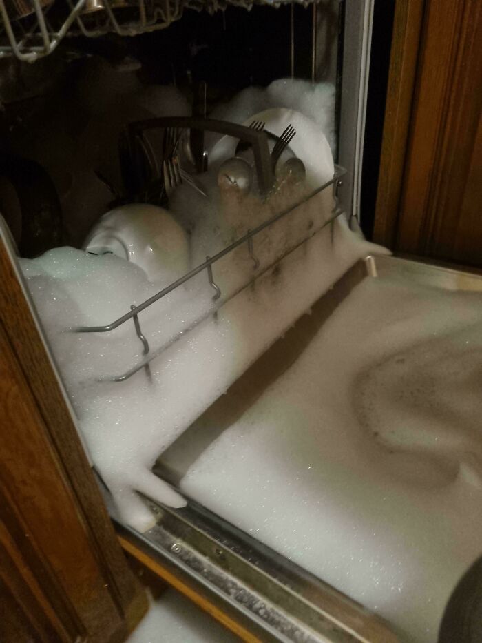 Told My Wife: No Dish Soap in the Dishwasher! She Didn’t Listen…