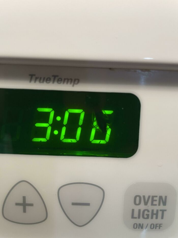 German Roaches Love the Oven Clock (Yuck!)