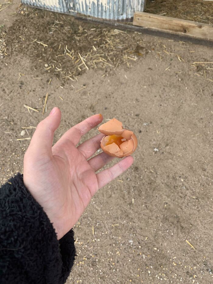 33 Mildly Annoying Things That Somehow Got Caught On Camera