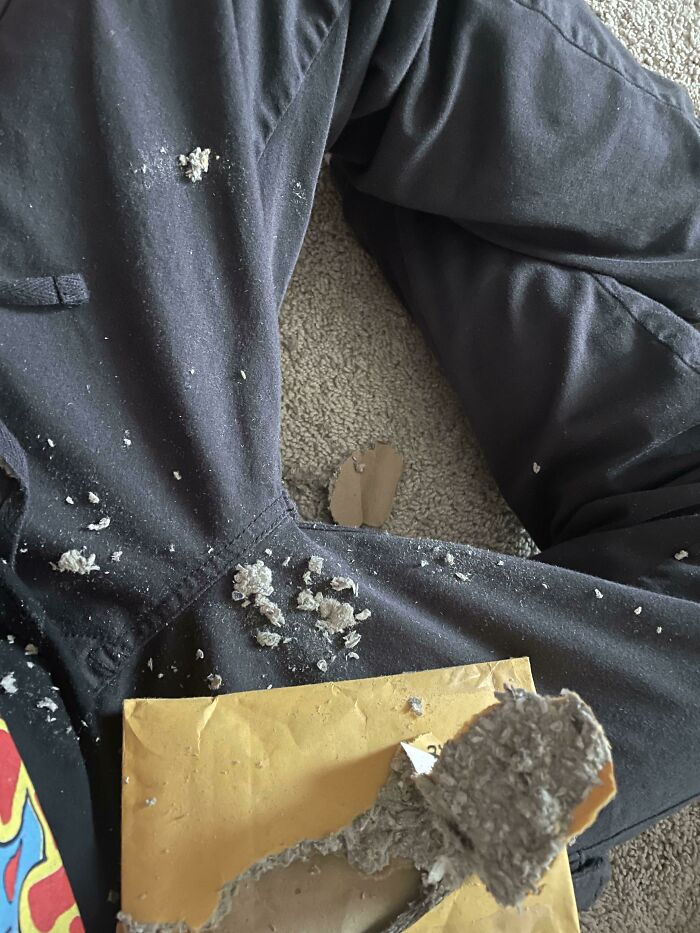 33 Mildly Annoying Things That Somehow Got Caught On Camera