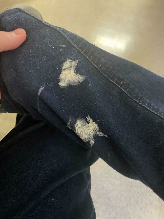 33 Mildly Annoying Things That Somehow Got Caught On Camera