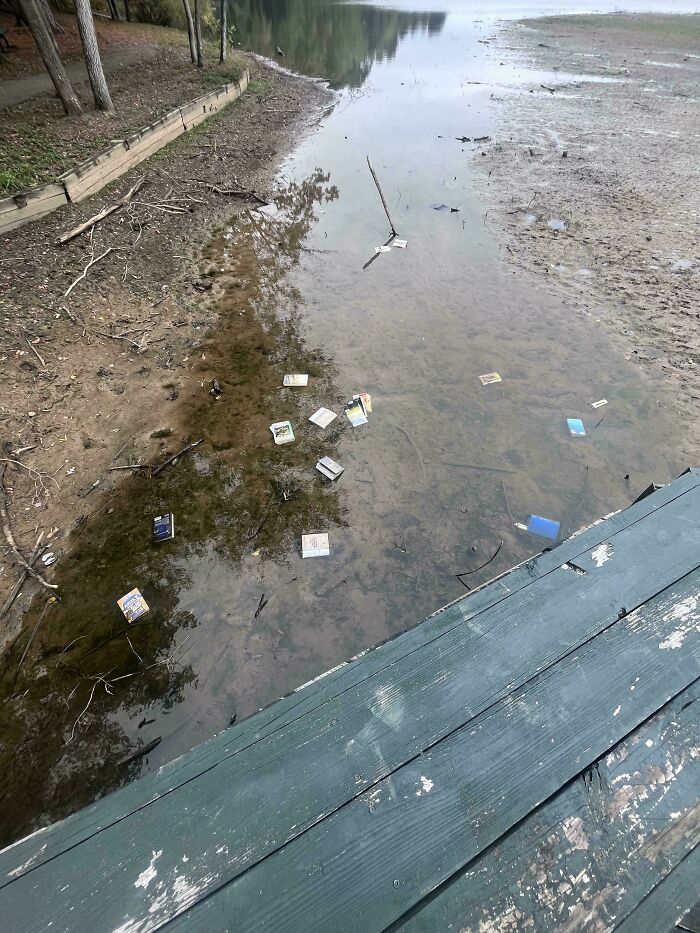 Someone Dumped Books In The Water. Why?