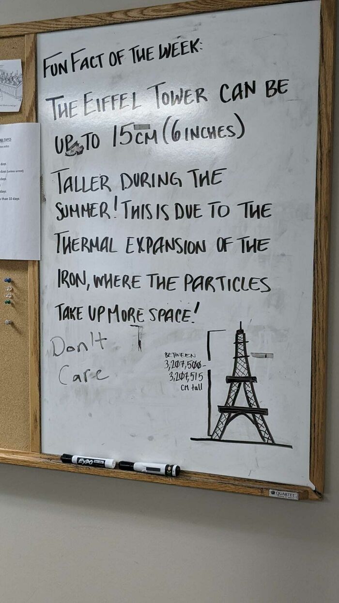 Fun Facts On The Office Whiteboard? Someone Clearly Hates That