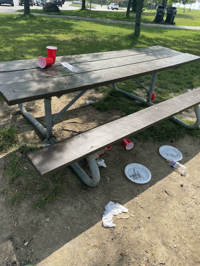 Public Park Near Toronto: Why Are People Such Pigs?