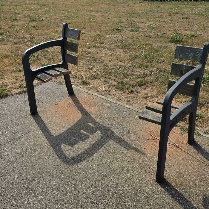 Someone Stole The Park Bench! Can You Believe It?