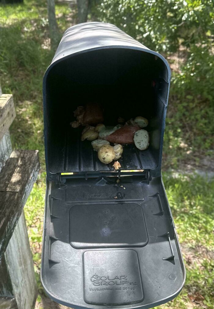 Someone Dumped A Raw Fish Meal In My Mailbox. Because Why Not?