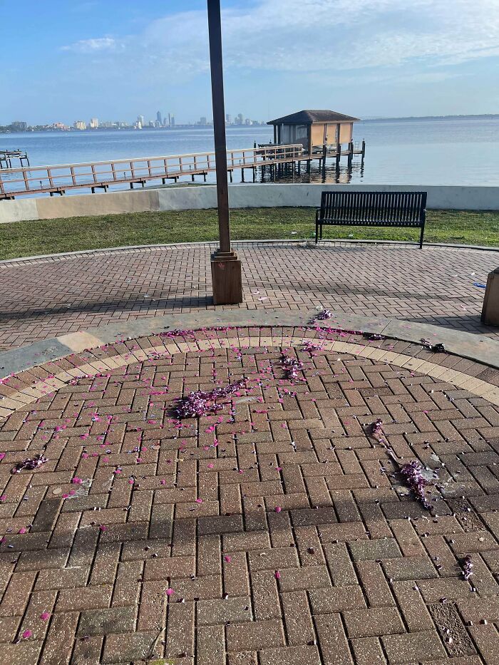 Please Don’t Trash Public Parks, OK?