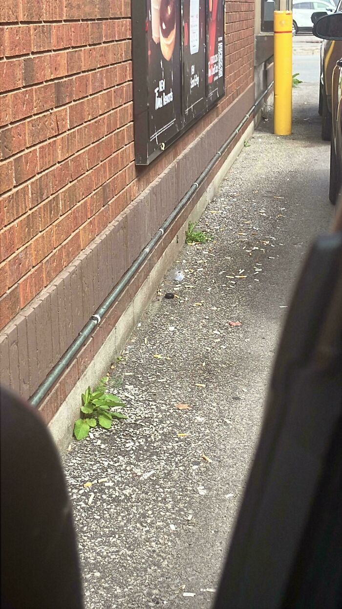 Why Don’t Smokers Think Butts Are Trash?