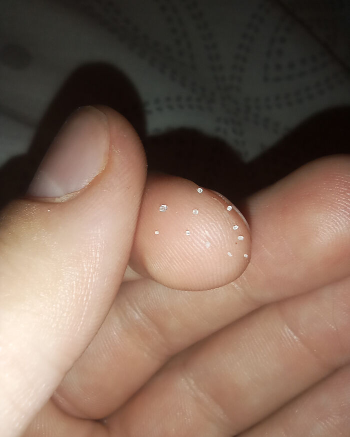 Family Drama: Someone Sprinkles Salt On My Bed
