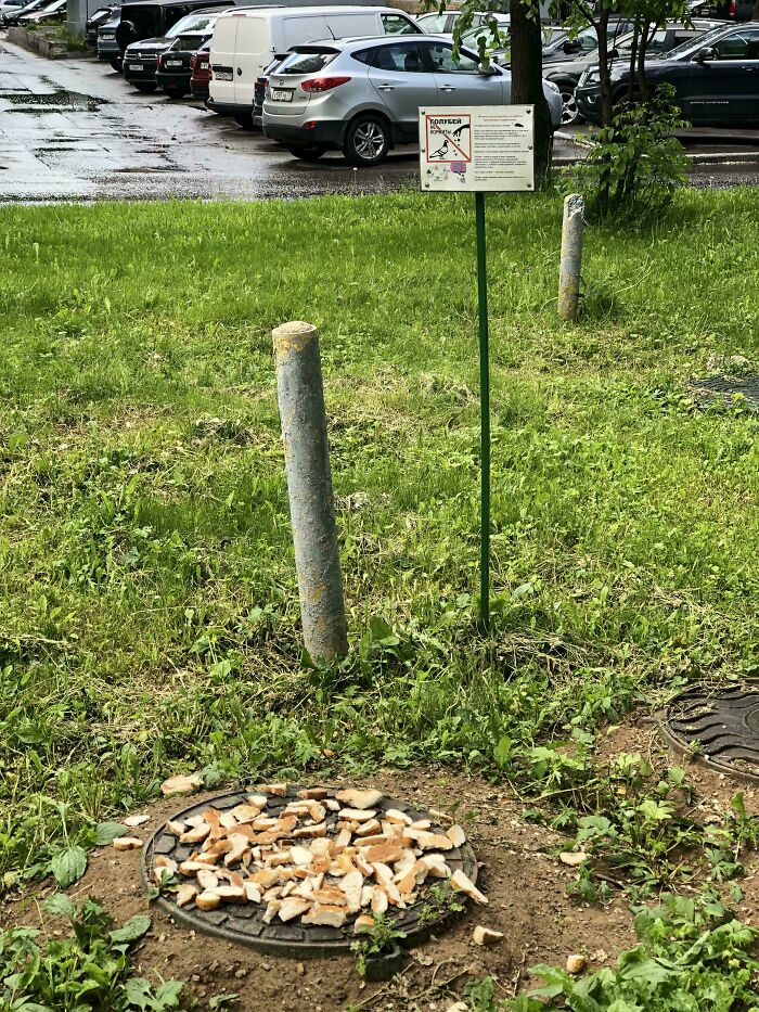 Some People Just Don’t Care At All