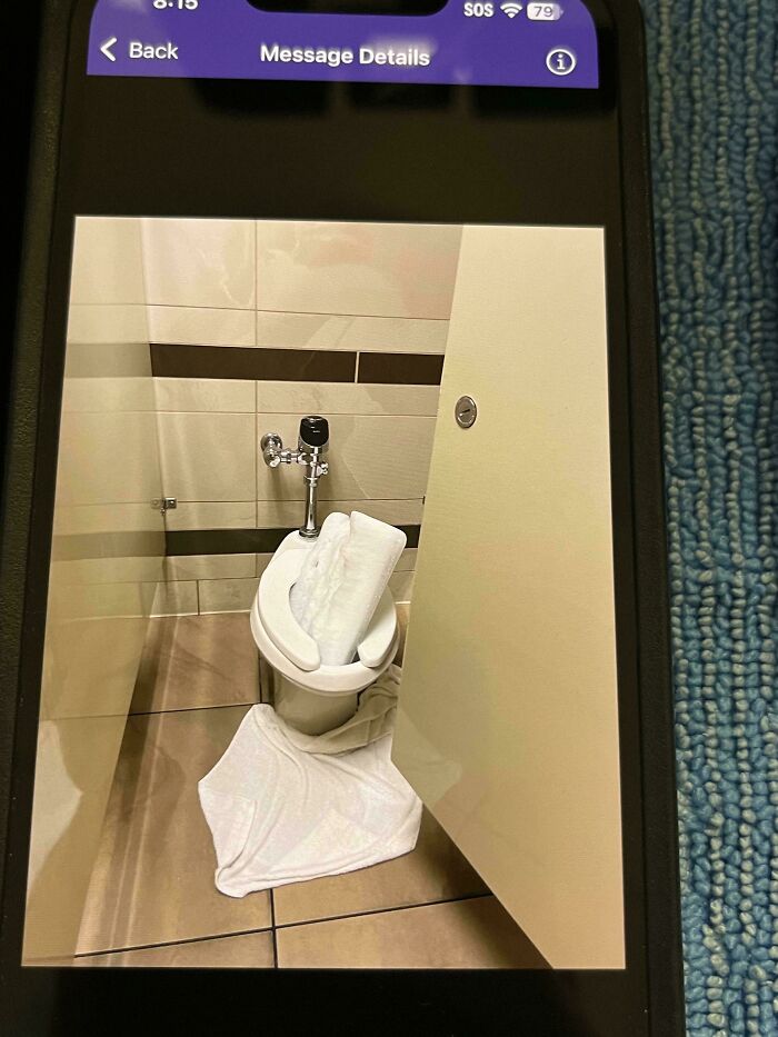 Huge Chunk Of Ice In The Toilet. Why?