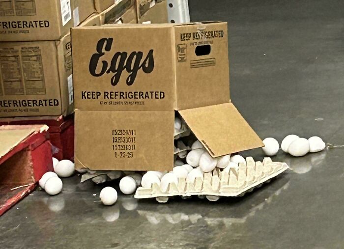 Dropped A Big Box Of Eggs. Waste Much?