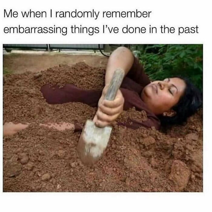 Wait, They Actually Ranked These Hilarious Sarcasm Memes?!