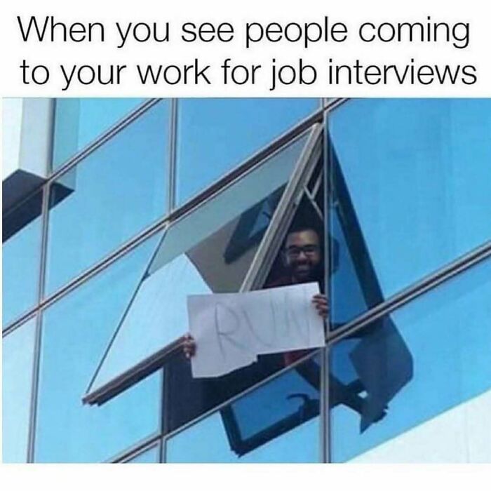Wait, They Actually Ranked These Hilarious Sarcasm Memes?!