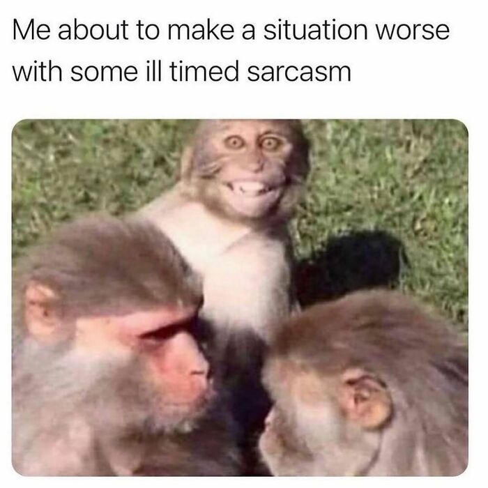 Wait, They Actually Ranked These Hilarious Sarcasm Memes?!