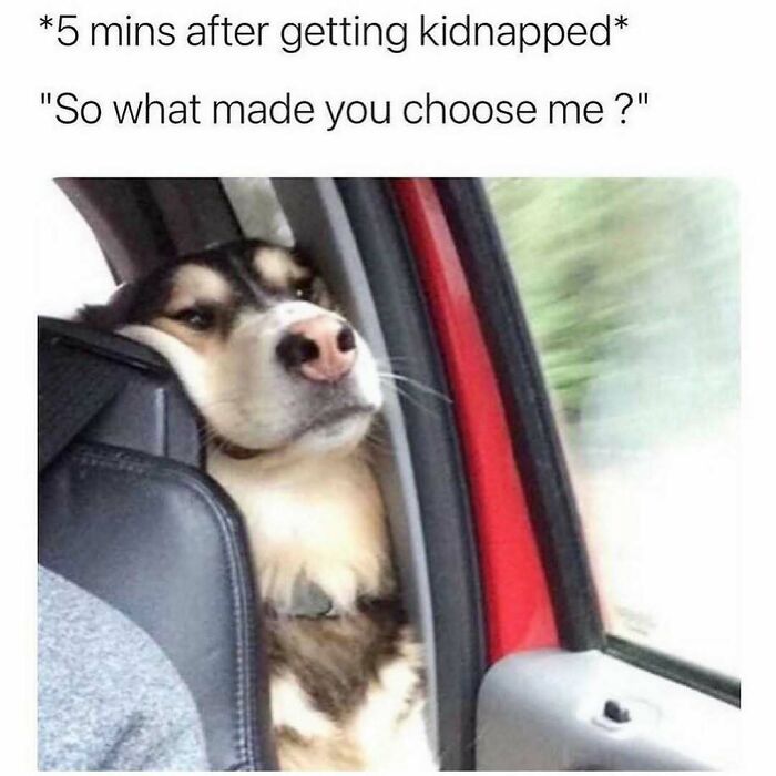Wait, They Actually Ranked These Hilarious Sarcasm Memes?!