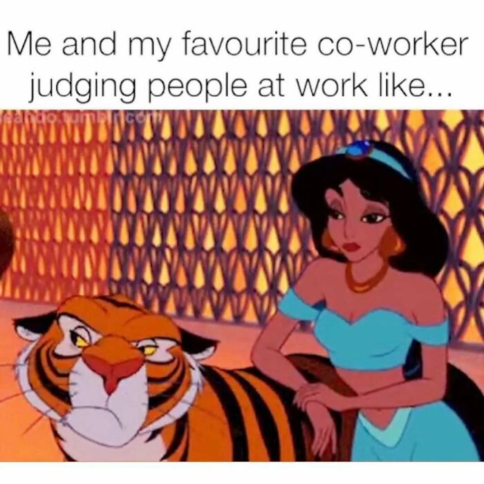 Wait, They Actually Ranked These Hilarious Sarcasm Memes?!