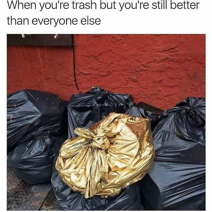 Wait, They Actually Ranked These Hilarious Sarcasm Memes?!