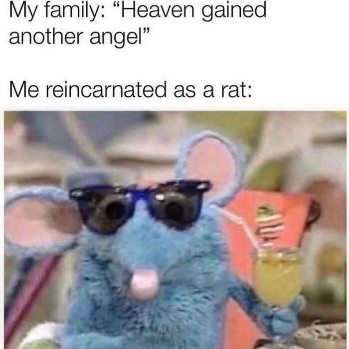 Wait, They Actually Ranked These Hilarious Sarcasm Memes?!