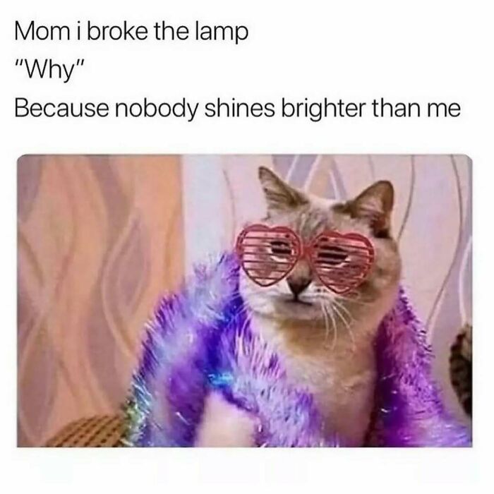 Wait, They Actually Ranked These Hilarious Sarcasm Memes?!