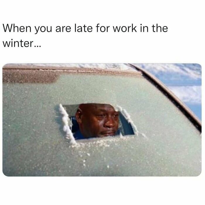 Wait, They Actually Ranked These Hilarious Sarcasm Memes?!