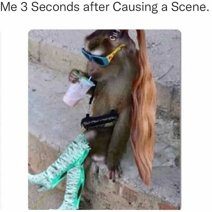 Wait, They Actually Ranked These Hilarious Sarcasm Memes?!