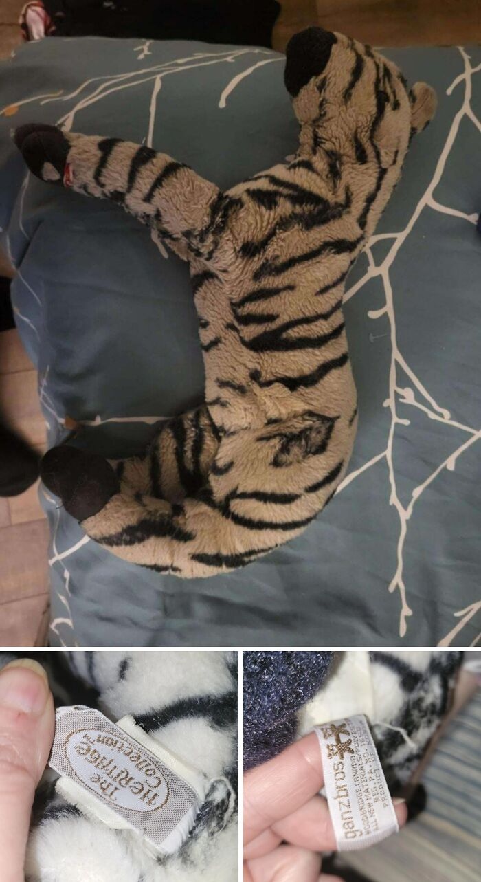 Lost My Childhood Zebra, But Guess What? Found!