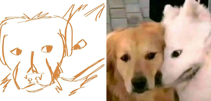 Exact Dog Pic Found! No More Lookalikes Needed