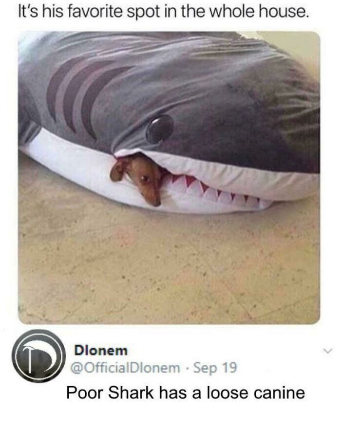 That Shark Pillow? It’s IKEA’s BLÅHAJ!