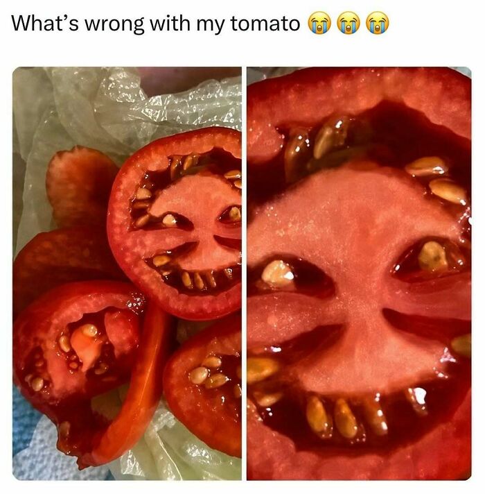 When Pop Culture Gets Hilariously Real: 75 Memes You Didn’t Know You Needed