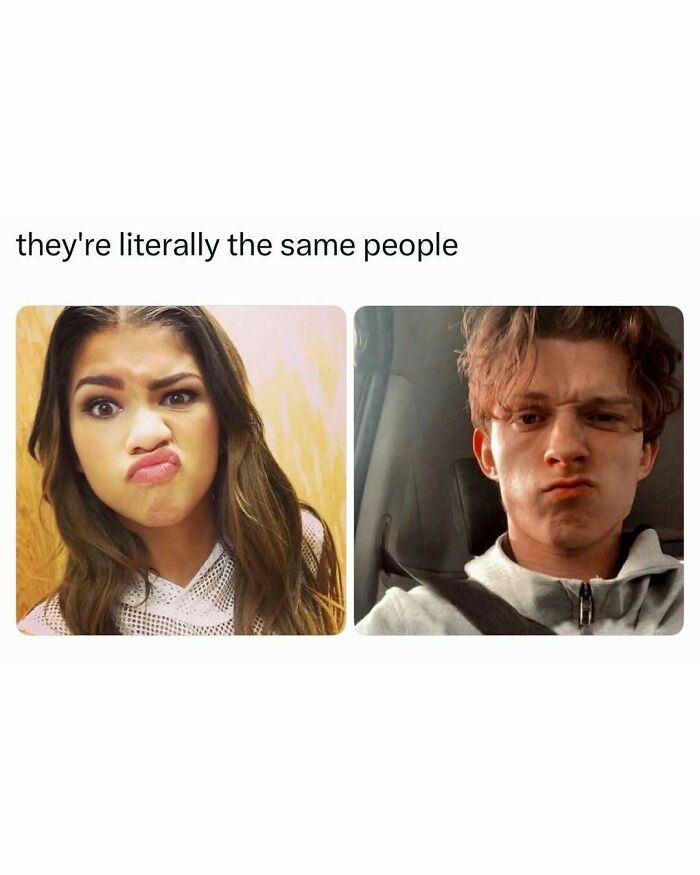 When Pop Culture Gets Hilariously Real: 75 Memes You Didn’t Know You Needed