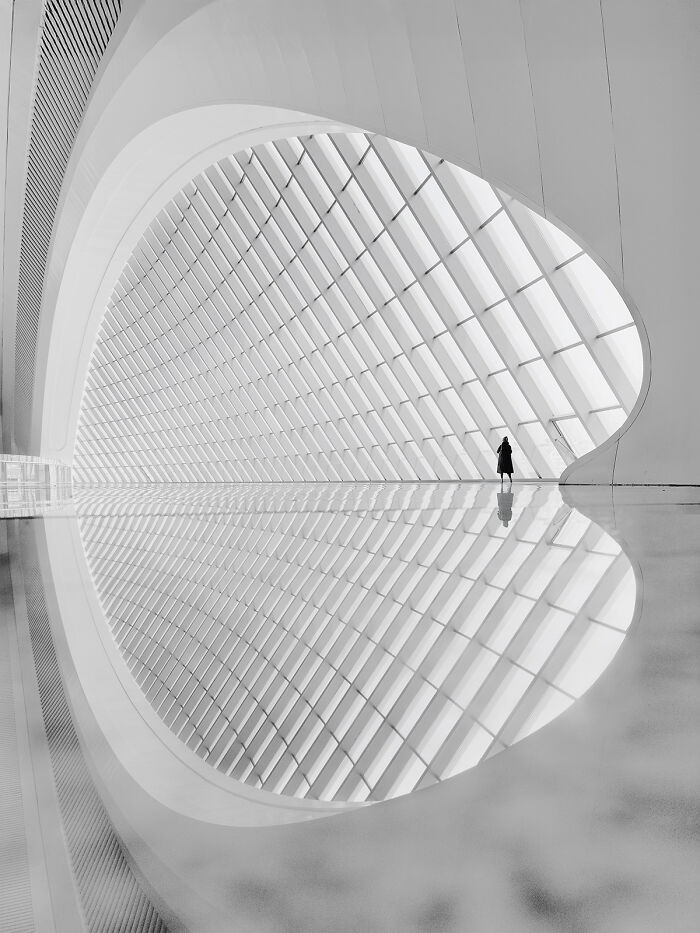 The Void By Nina Papiorek