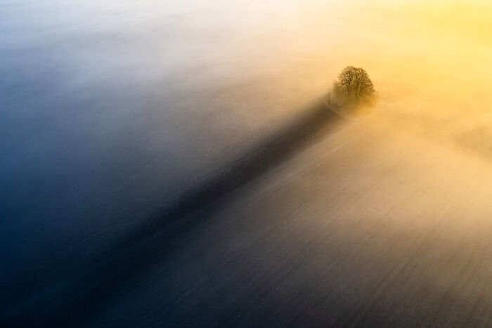 The Long Shadow By Christopher Harrison