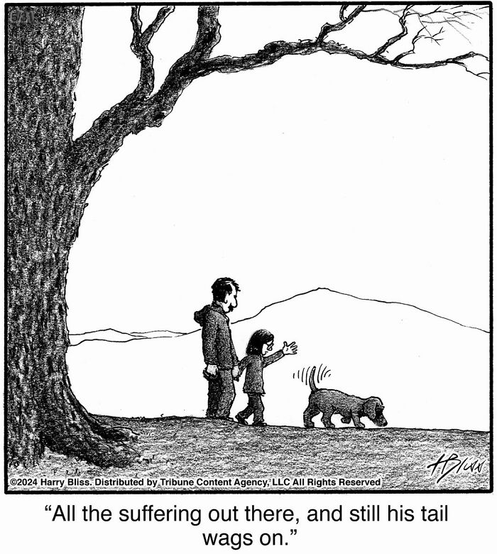 Wait Till You See These Hilarious Dog Comics That Nail What Our Pups Are Really Thinking