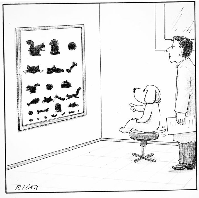 Wait Till You See These Hilarious Dog Comics That Nail What Our Pups Are Really Thinking
