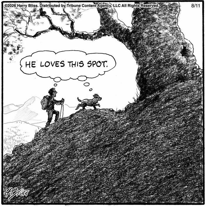 Wait Till You See These Hilarious Dog Comics That Nail What Our Pups Are Really Thinking