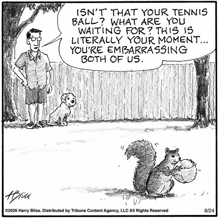 Wait Till You See These Hilarious Dog Comics That Nail What Our Pups Are Really Thinking