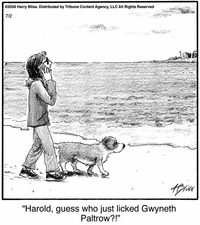Wait Till You See These Hilarious Dog Comics That Nail What Our Pups Are Really Thinking