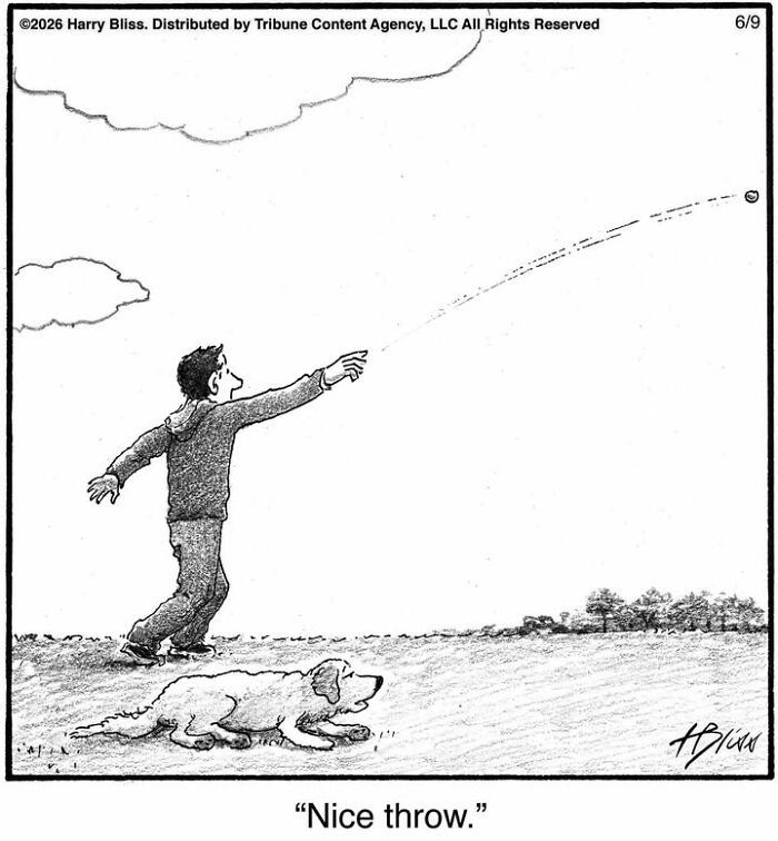 Wait Till You See These Hilarious Dog Comics That Nail What Our Pups Are Really Thinking