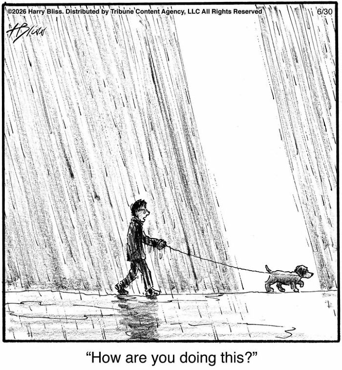 Wait Till You See These Hilarious Dog Comics That Nail What Our Pups Are Really Thinking