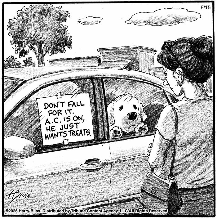 Wait Till You See These Hilarious Dog Comics That Nail What Our Pups Are Really Thinking