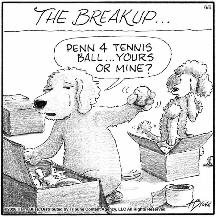 Wait Till You See These Hilarious Dog Comics That Nail What Our Pups Are Really Thinking