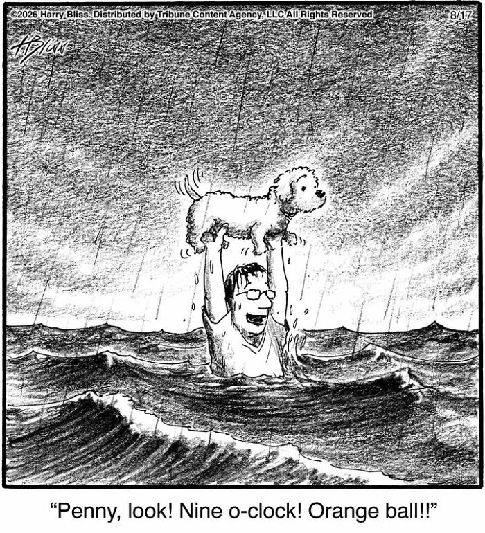 Wait Till You See These Hilarious Dog Comics That Nail What Our Pups Are Really Thinking